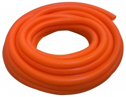 poszel_pomaranczowy__WP_20161011_017